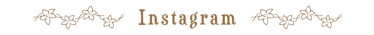 インスタグラム
